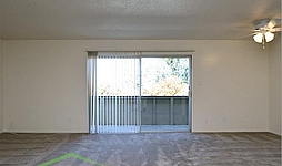 Photo31625